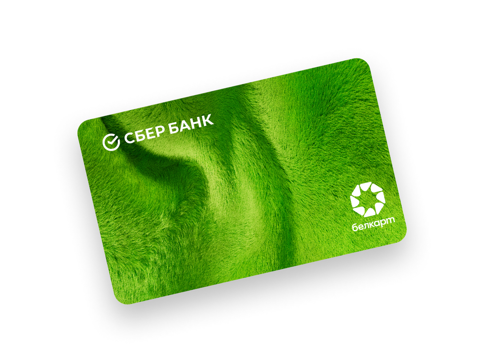 PLOTS_KID_CARD_GRASS